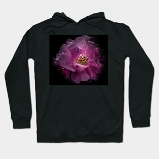 Backyard Flowers 38 Color Version Hoodie